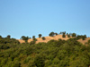 photo de la Maremma - Toscane